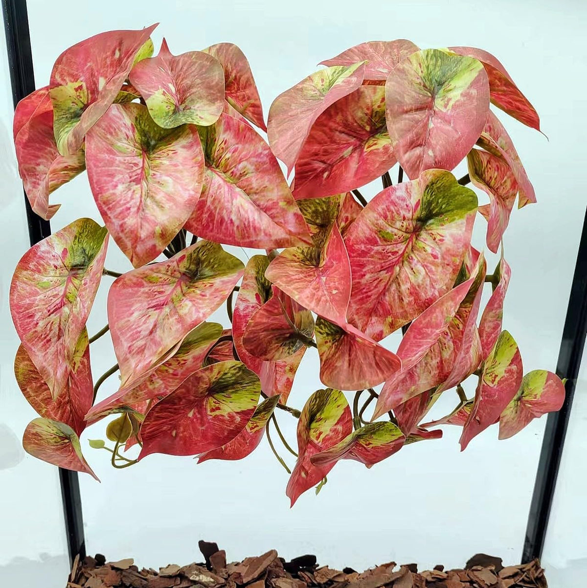 Terrarium Twin Vines - Suction Cup Reptile Decor