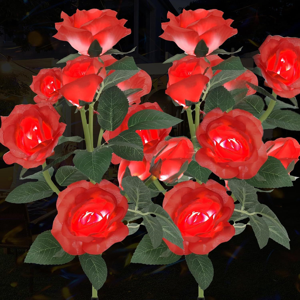 556530131