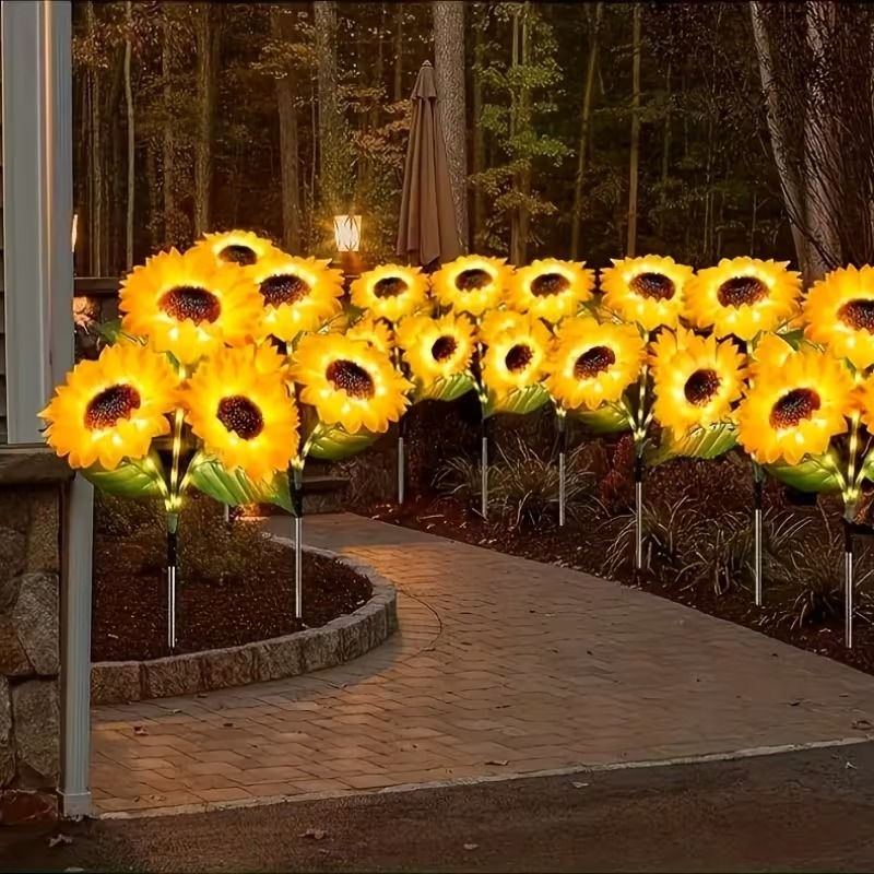 556529031